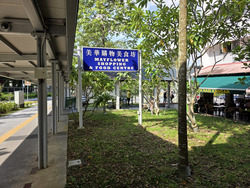 Mayflower Shopping & Food Centre (D20), Shop House #491763891